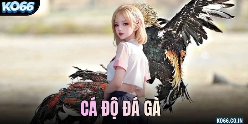Cá độ đá gà