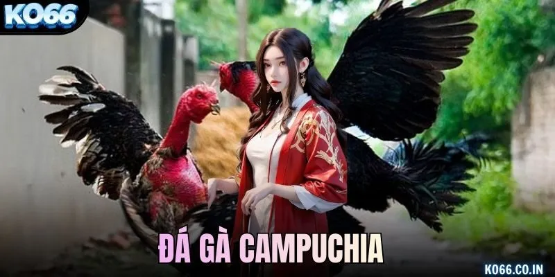 Đá Gà Campuchia
