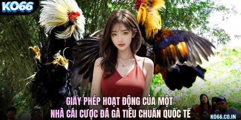 Giấy phép hoạt động của một nhà cái cược đá gà tiêu chuẩn quốc tế