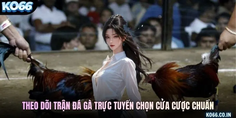 Người chơi theo dõi trận đá gà trực tuyến chọn cửa cược chuẩn